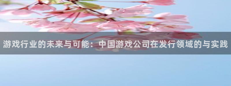 新宝GG子市值：游戏行业的未来与可能：中国游戏公司在发行领域的与实践