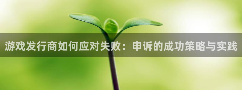 新宝GG子文化创意有限公司特邀玩家：游戏发行商如何应对失败：申诉的成功策略与实践