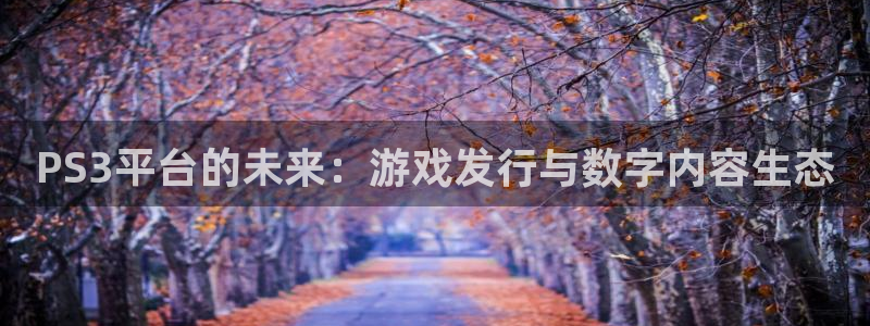 新宝GG子传媒集团ceo：PS3平台的未来：游戏发行与数字内容生态