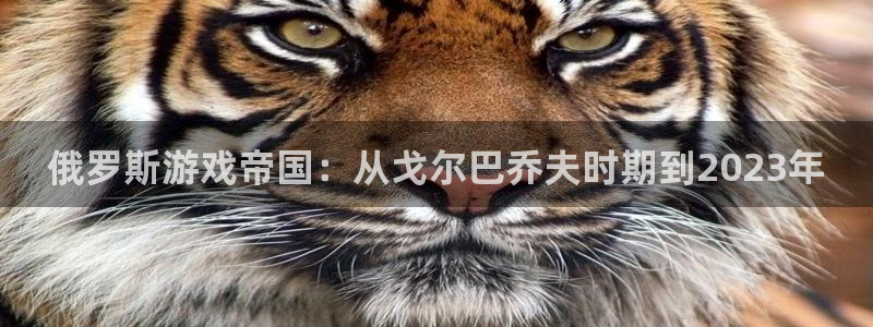 广州新宝GG投资：俄罗斯游戏帝国：从戈尔巴乔夫时期到2023年