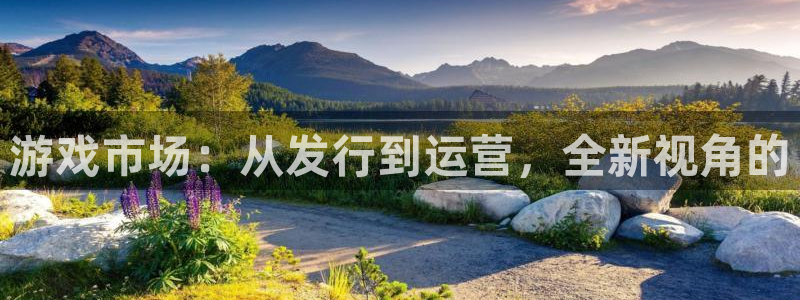 新宝GG是什么：游戏市场：从发行到运营，全新视角的