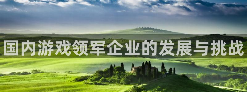 新宝GG技术有限公司