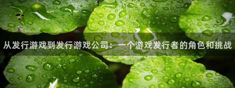 新宝GG官网注册方法有哪些：从发行游戏到发行游戏公司：一个游戏发行者的角色和挑战
