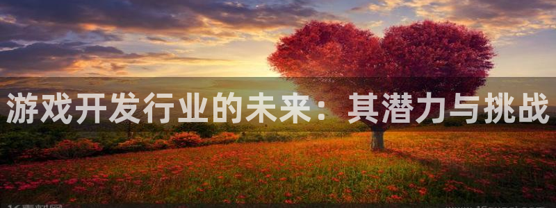 广州新宝GG网络科技有限公司电话：游戏开发行业的未来：其潜力与挑战