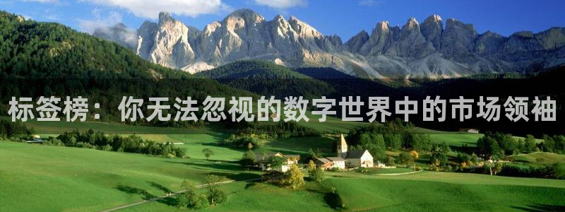新宝GG官网游戏平台高奖金玩法：标签榜：你无法忽视的数字世界中的市场领袖