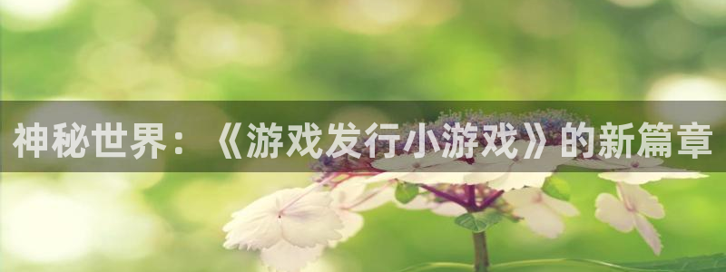 新宝GG子财经图书：神秘世界：《游戏发行小游戏》的新篇章