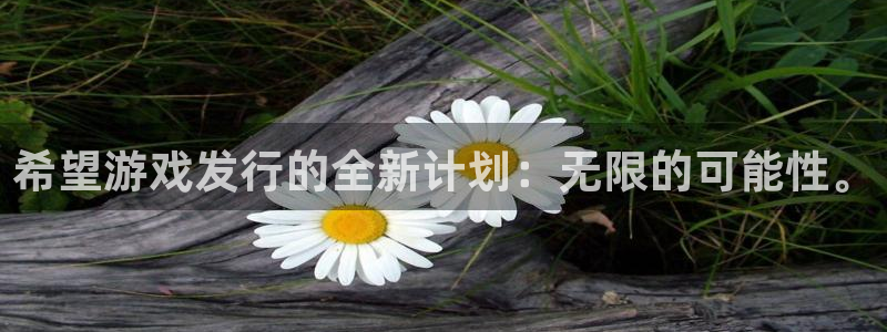 新宝GG官网注册地址查询官网：希望游戏发行的全新计划：无限的可能性。