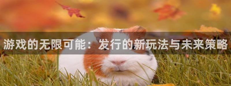 江苏新宝GG：游戏的无限可能：发行的新玩法与未来策略
