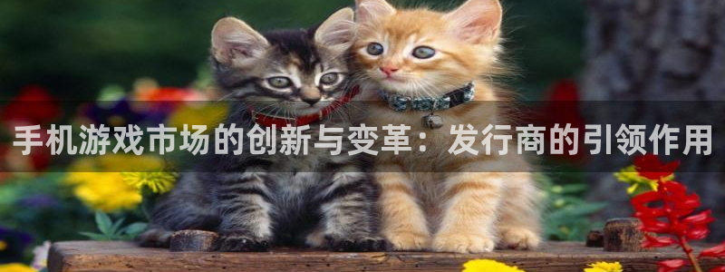 广州新宝GG运动服：手机游戏市场的创新与变革：发行商的引领作用