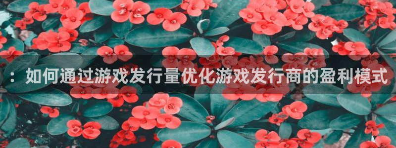新宝GG官网挂机项目怎么样可靠吗