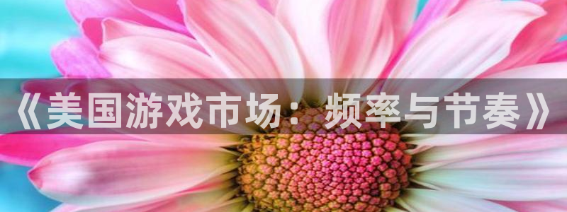 新宝GG注册开户：《美国游戏市场：频率与节奏》