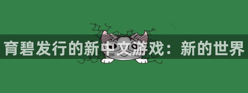 新宝GG电子商务有限公司怎么样啊