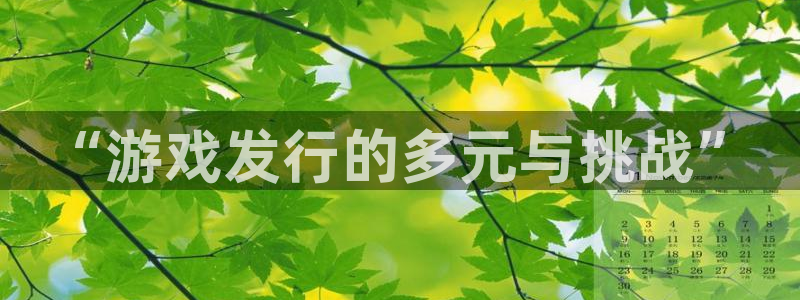 新宝GG科技股票：“游戏发行的多元与挑战”