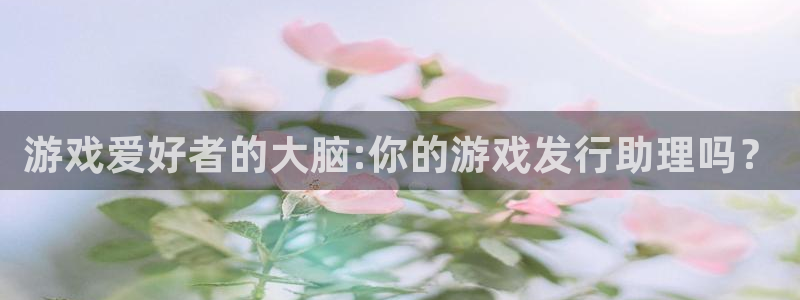 新宝GG官网代理注册不了