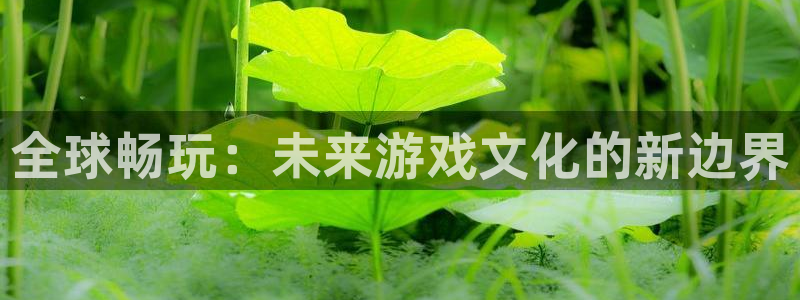 新宝GG电商怎么样知乎：全球畅玩：未来游戏文化的新边界