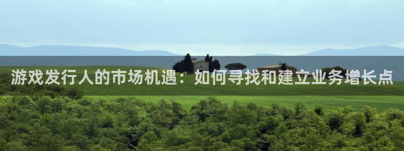 新宝GG官网登录注册失败：游戏发行人的市场机遇：如何寻找和建立业务增长点