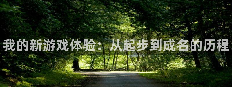 陕西新宝GG子文化创意有限公司是做什么的