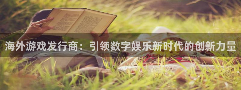 新宝GG子公司怎么样