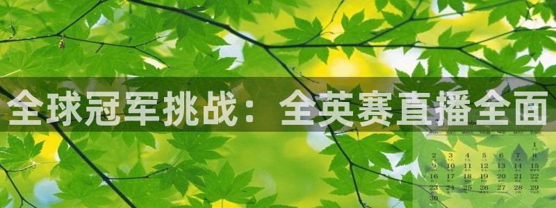 鲸鱼体育tv直播：全球冠军挑战：全英赛直播全面