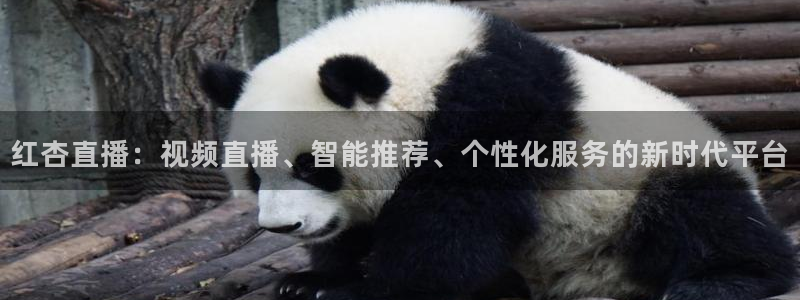 蓝鲸鱼直播：红杏直播：视频直播、智能推荐、个性化服务的新时代平台