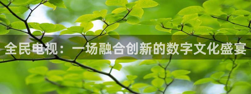 鲸鱼体育免费直播nba：全民电视：一场融合创新的数字文化盛宴